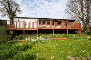 Tree Tops Lodge @ Bantham